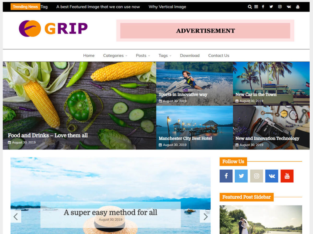 free WordPress magazine themes