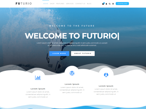 Best Corporate WordPress Themes Futurio