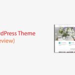 Flash WordPress Theme Review