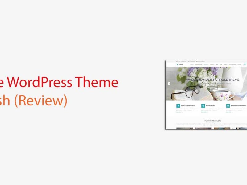 Flash WordPress Theme Review